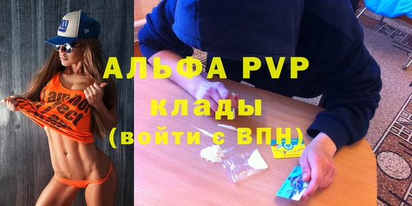первитин Богородицк