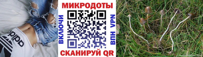 Галлюциногенные грибы ЛСД купить наркотики цена Балаково